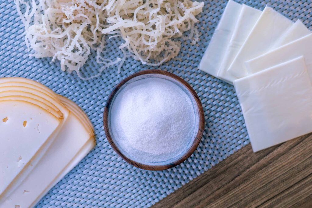 Secagum BA 31 – Processed & Sliced Cheese